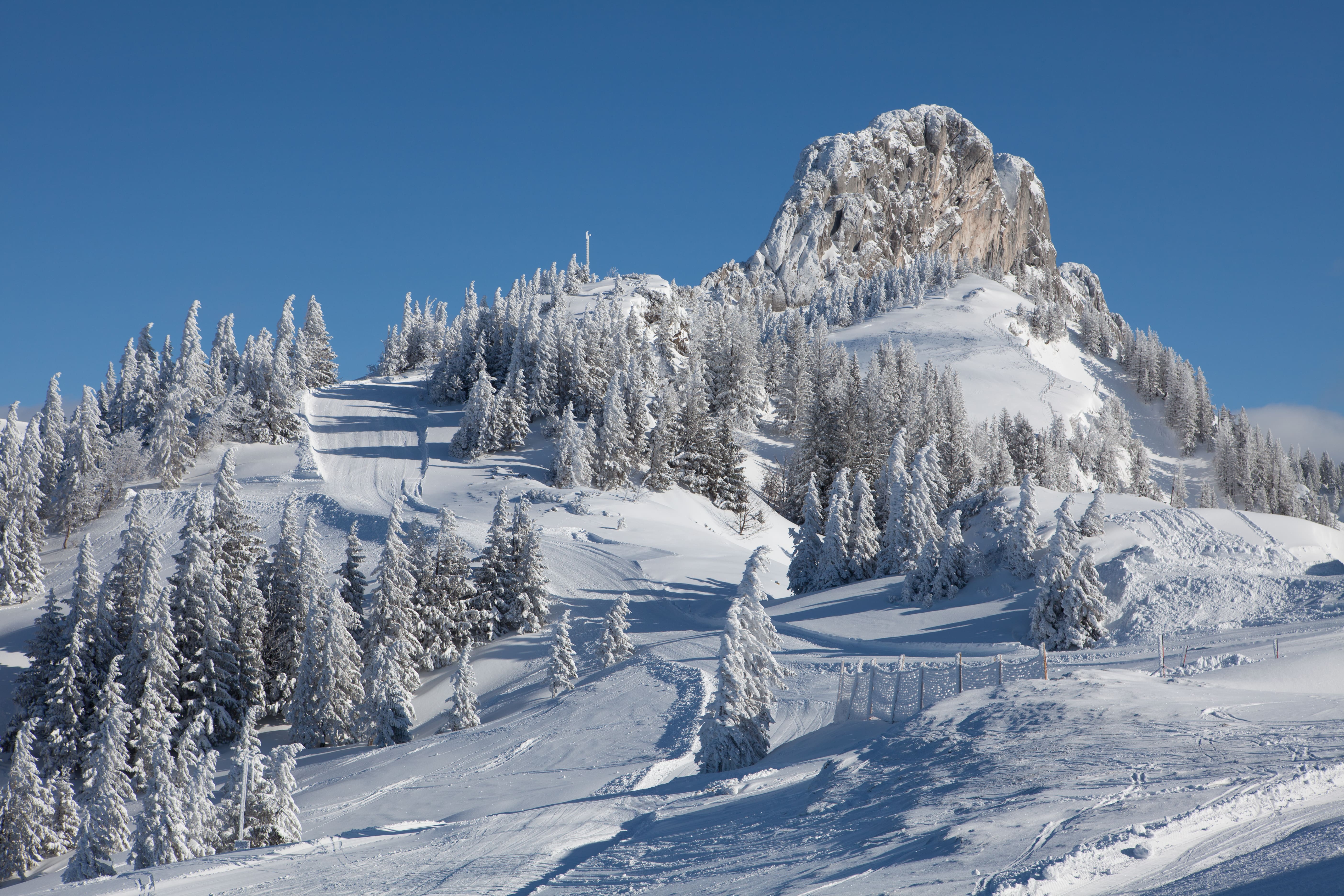 Panoramaweg zur Steinlingalm